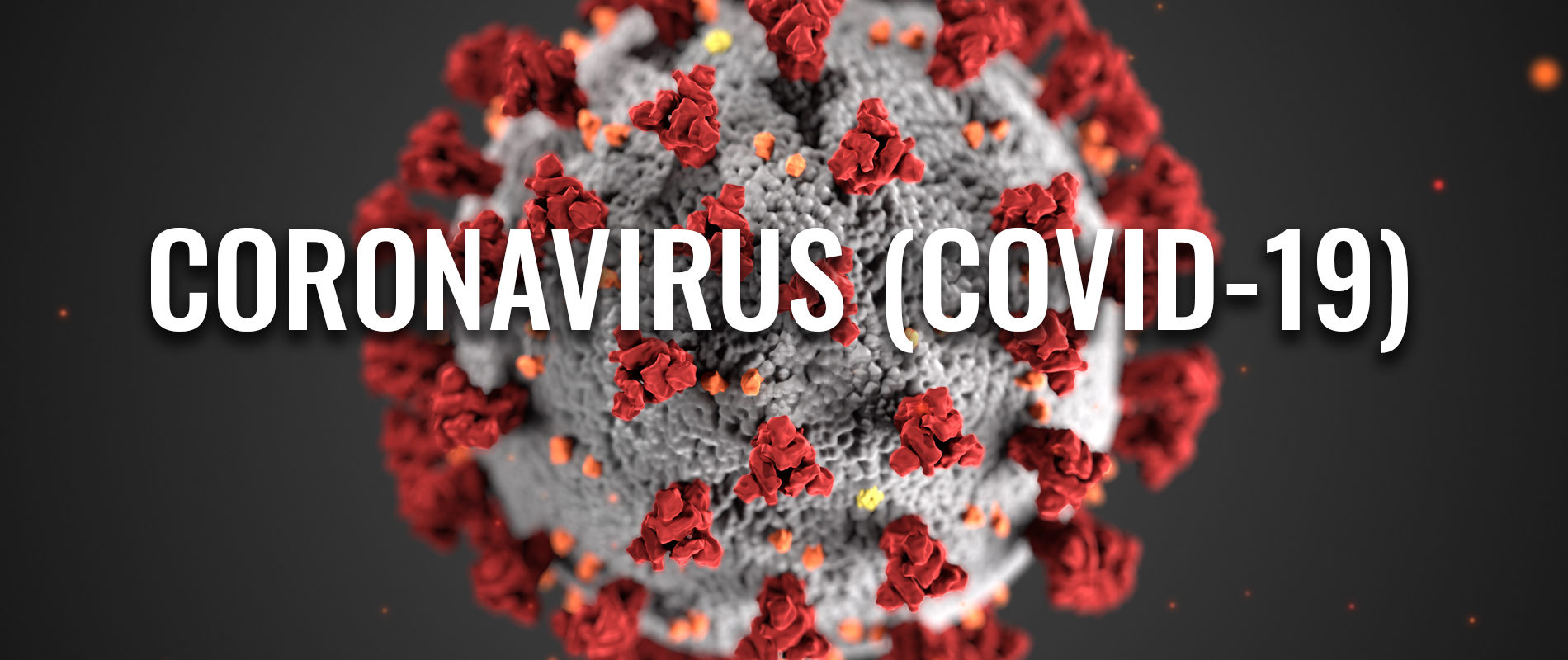 coronavirus 2020 header